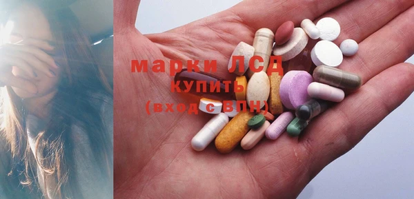крисы Алзамай
