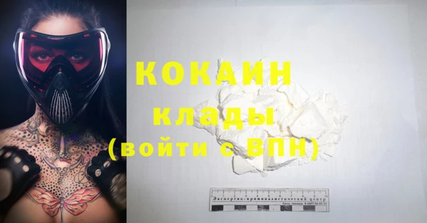крисы Алзамай