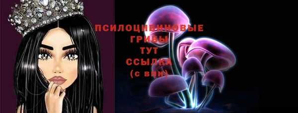 ешки Алексеевка