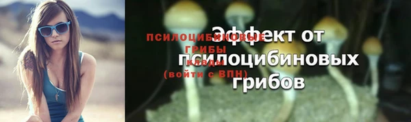 ешки Алексеевка