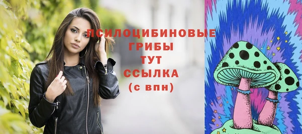 крисы Алзамай